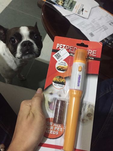 Electric Painless Pet Nail Clipper Pets Dogs And Cats photo review