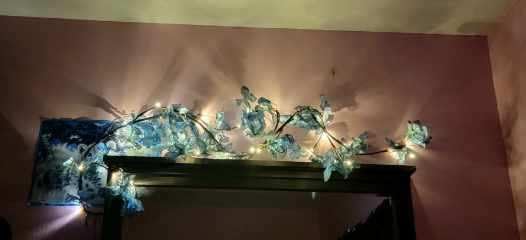 Enchanted Willow Led Vine Light photo review