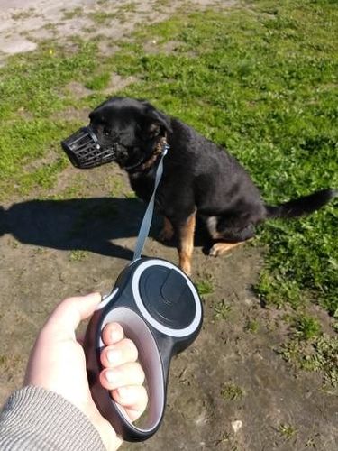 Essential Leash - Multi-Functional Dog Leash With Built-In Water Bottle, Bowl & Waste Bag Dispenser photo review