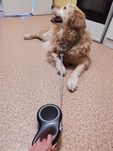 Essential Leash - Multi-Functional Dog Leash With Built-In Water Bottle, Bowl & Waste Bag Dispenser photo review