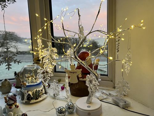 Fairy Light Spirit Tree Lamp - Warm LEDs photo review