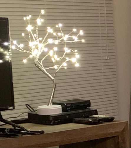 Fairy Light Spirit Tree Lamp - Warm LEDs photo review