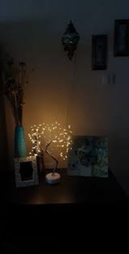 Fairy Light Spirit Tree Lamp - Warm LEDs photo review