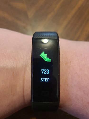 Fitband Blood Pressure Smart Watch Heart Rate Monitor And Pedometer photo review