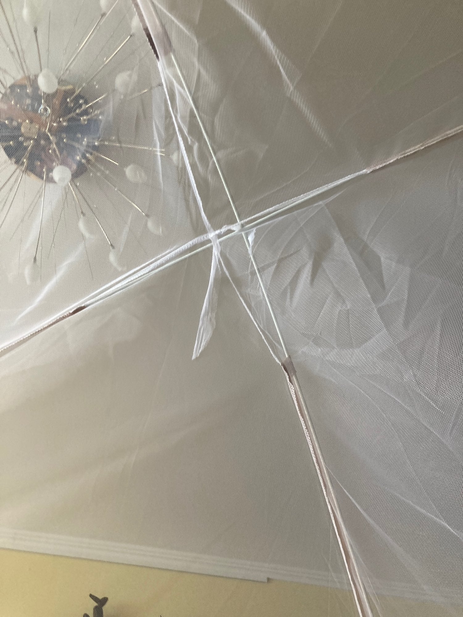 Foldable Mosquito Net photo review