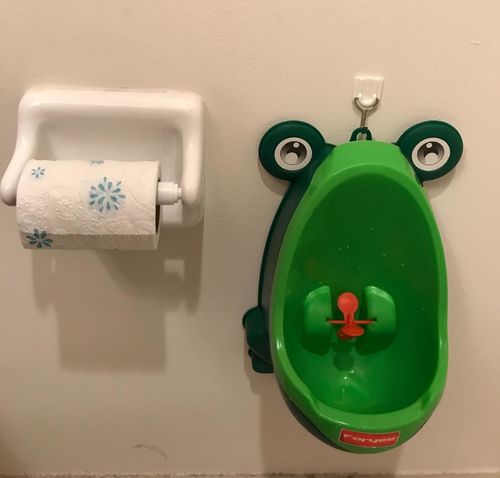 Frog Potty Training For Boys photo review