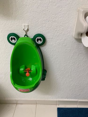 Frog Potty Training For Boys photo review