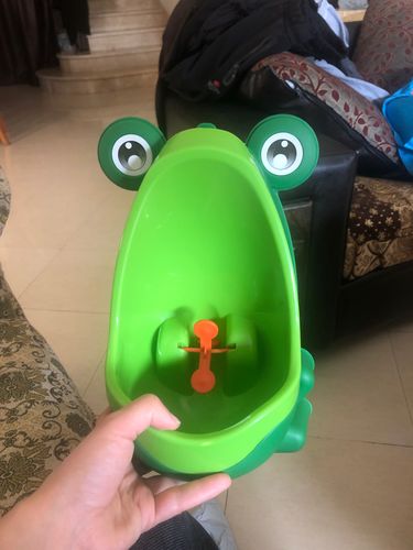 Frog Potty Training For Boys photo review