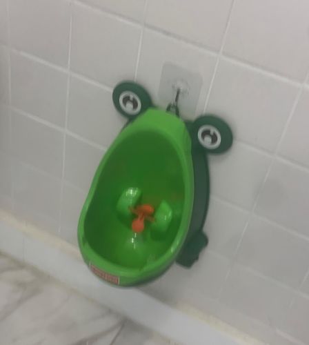 Frog Potty Training For Boys photo review