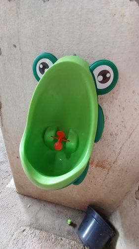 Frog Potty Training For Boys photo review