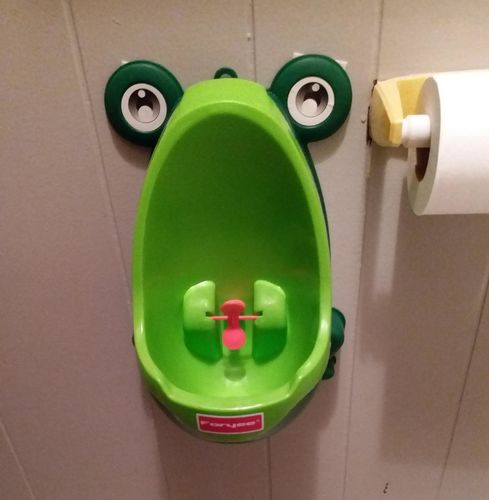 Frog Potty Training For Boys photo review