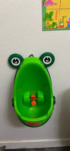 Frog Potty Training For Boys photo review