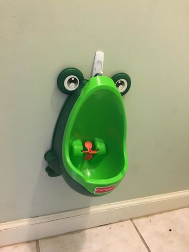 Frog Potty Training For Boys photo review