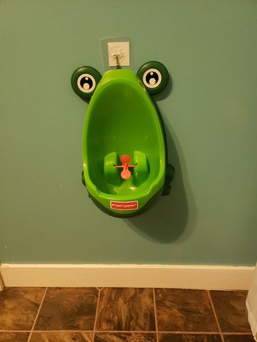 Frog Potty Training For Boys photo review