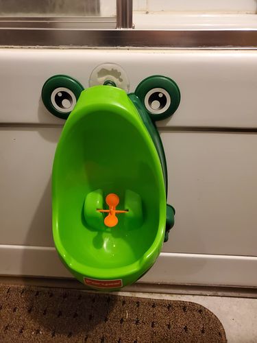 Frog Potty Training For Boys photo review