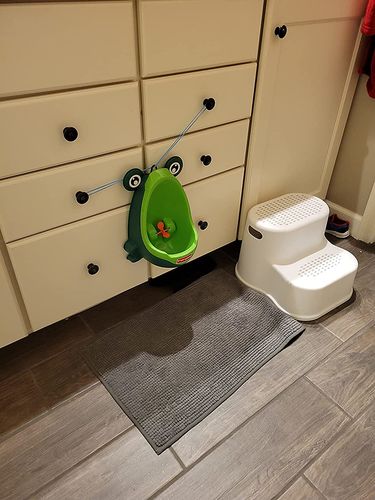 Frog Potty Training For Boys photo review