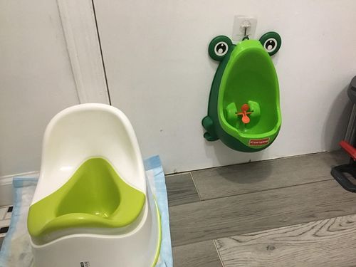 Frog Potty Training For Boys photo review