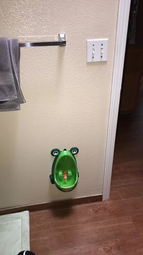 Frog Potty Training For Boys photo review