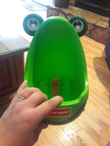 Frog Potty Training For Boys photo review