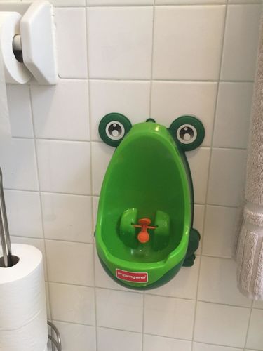 Frog Potty Training For Boys photo review