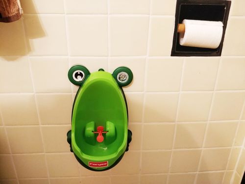 Frog Potty Training For Boys photo review