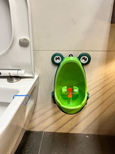 Frog Potty Training For Boys photo review