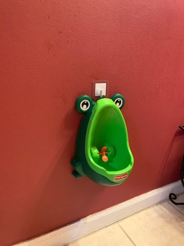 Frog Potty Training For Boys photo review