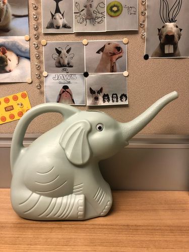 Elephant Watering Can photo review
