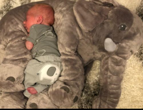 Giant Elephant Plush Toy Baby Pillow photo review