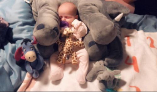 Giant Elephant Plush Toy Baby Pillow photo review