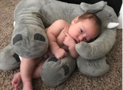 Giant Elephant Plush Toy Baby Pillow photo review