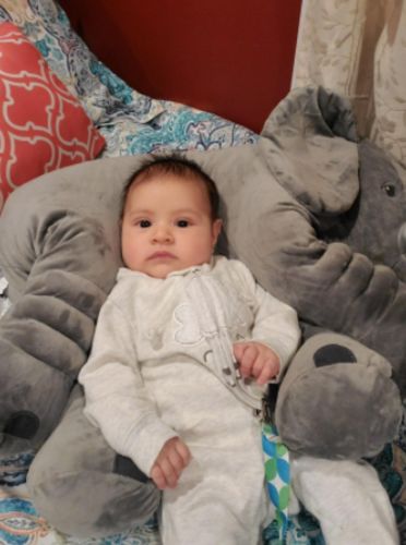 Giant Elephant Plush Toy Baby Pillow photo review