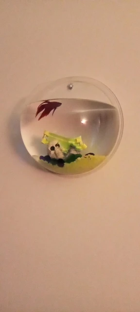 Betta Fish Aquarium Acrylic Fish Bowl Wall Hanging Aquarium Tank Aquatic Pet Supplies Pet Products photo review