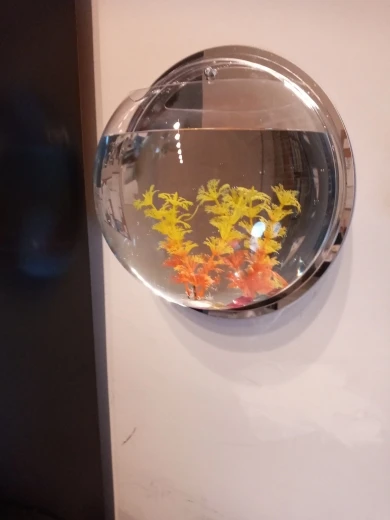 Betta Fish Aquarium Acrylic Fish Bowl Wall Hanging Aquarium Tank Aquatic Pet Supplies Pet Products photo review