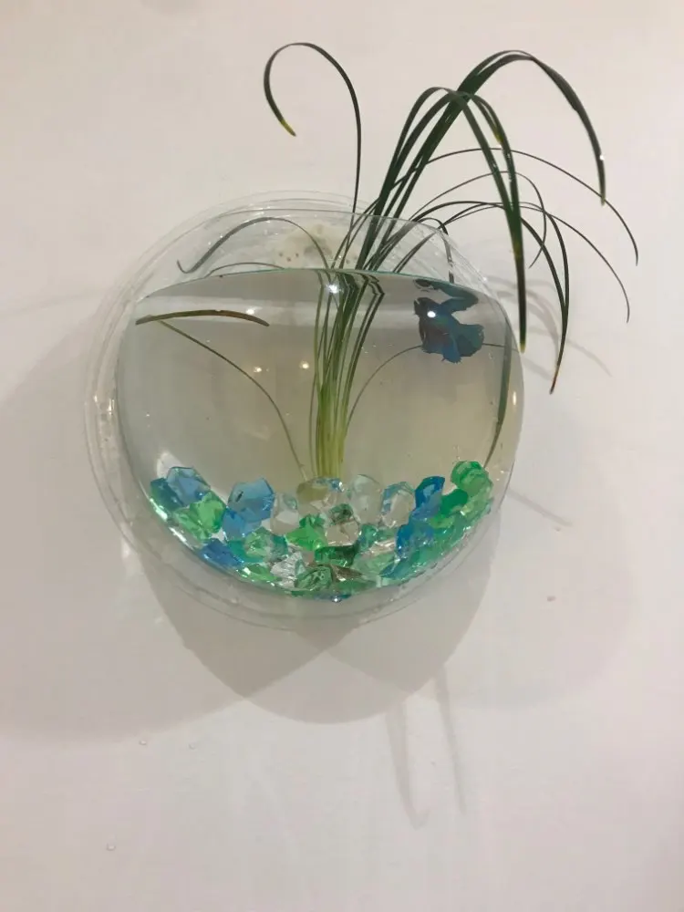 Betta Fish Aquarium Acrylic Fish Bowl Wall Hanging Aquarium Tank Aquatic Pet Supplies Pet Products photo review