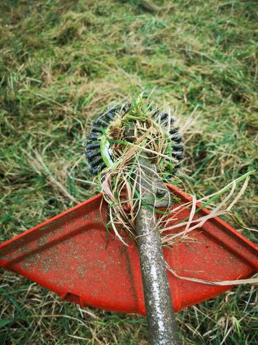 Grass Trimmer & Lawn Trimmer, Weed Cutter photo review