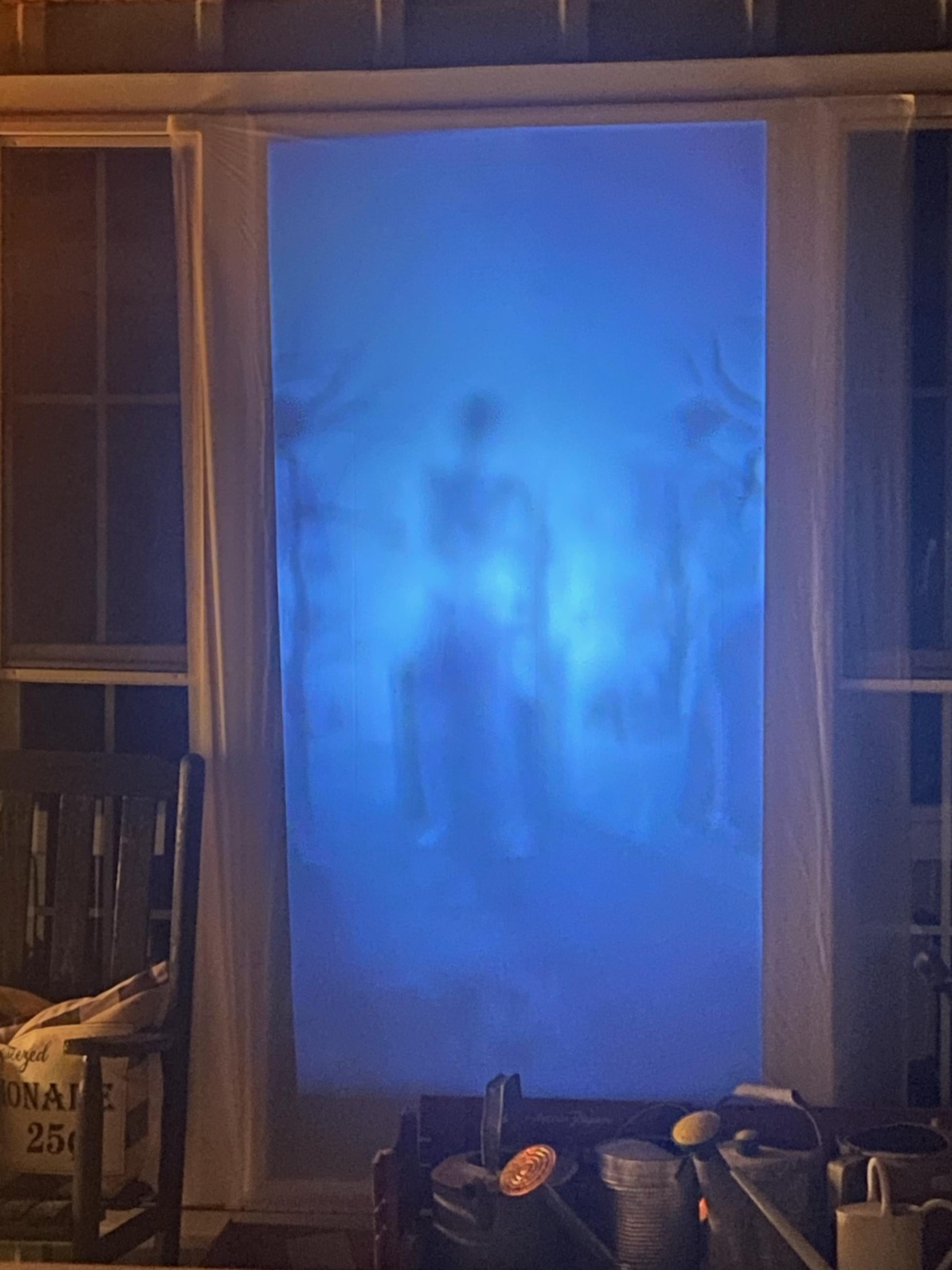 Halloween Holographic Projection! photo review