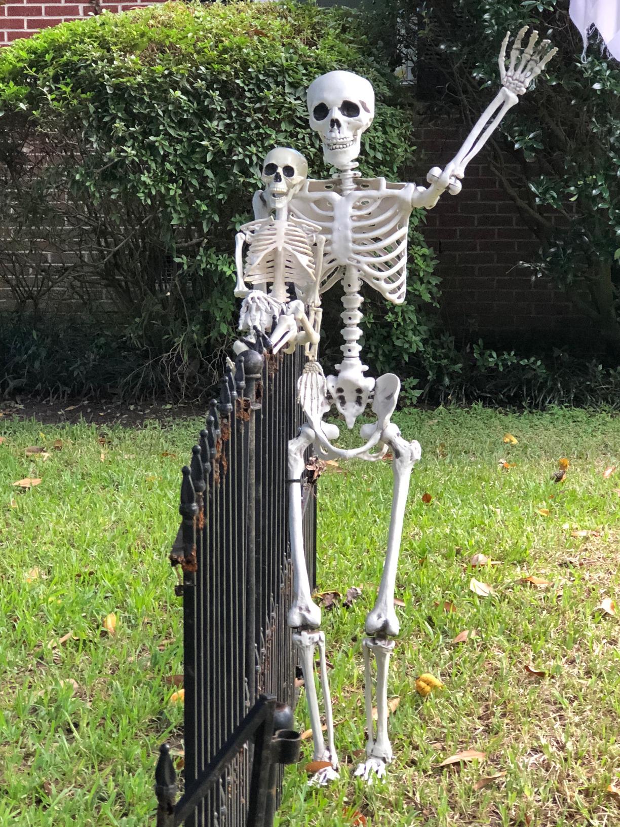 Halloween Prop 5Ft Skeleton Full Size Giant Decoration Skeleton Skull Hand Lifelike Fake Human Body photo review