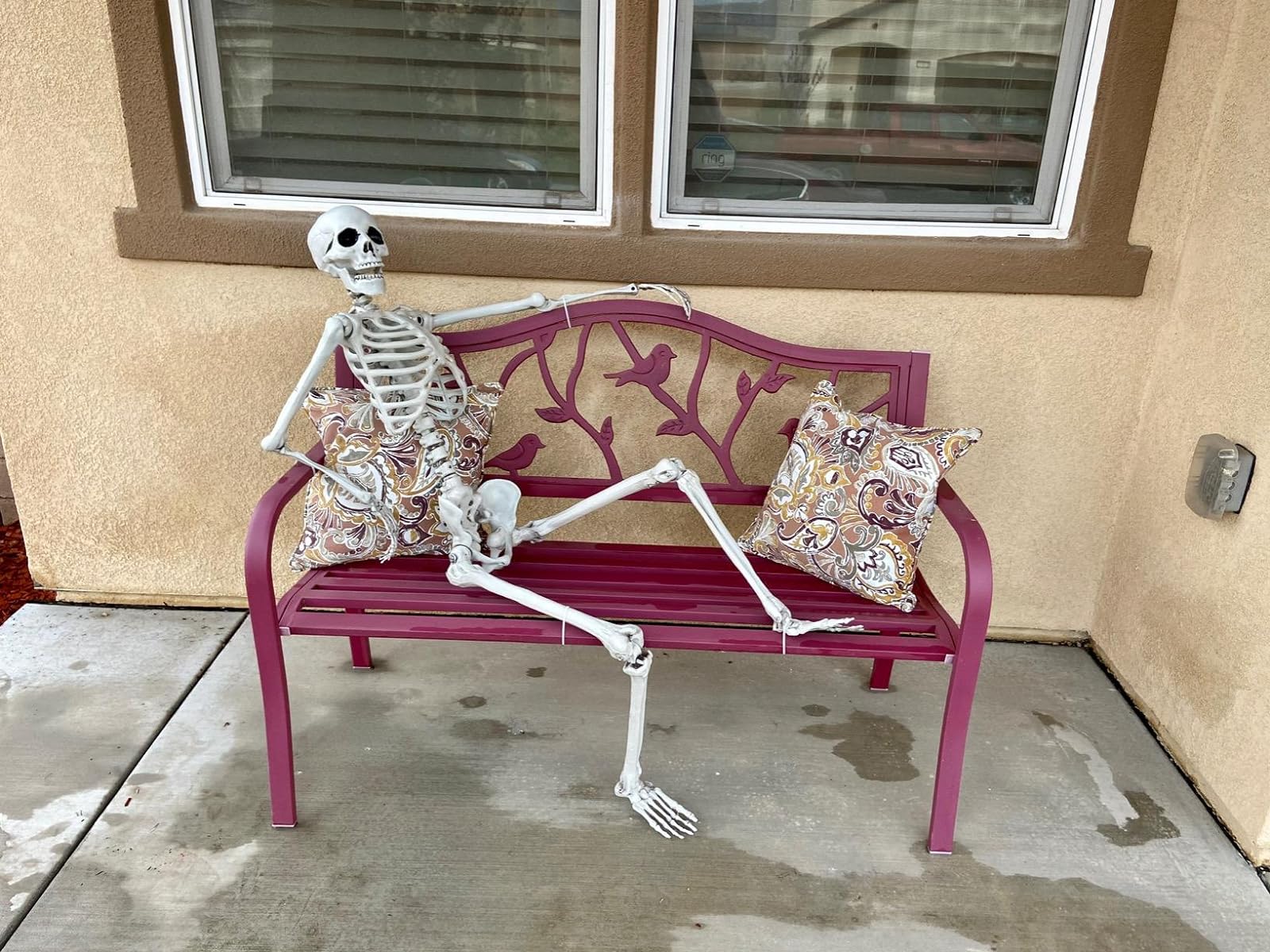 Halloween Prop 5Ft Skeleton Full Size Giant Decoration Skeleton Skull Hand Lifelike Fake Human Body photo review