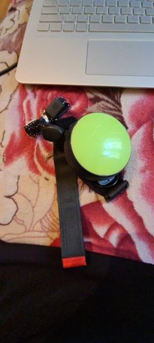 Hands Retractable Dog Leash - Wrist Strap 3M Reflective Dog Leash photo review