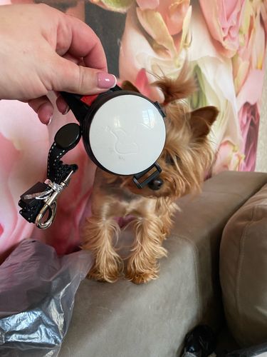 Hands Retractable Dog Leash - Wrist Strap 3M Reflective Dog Leash photo review