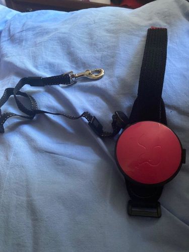 Hands Retractable Dog Leash - Wrist Strap 3M Reflective Dog Leash photo review