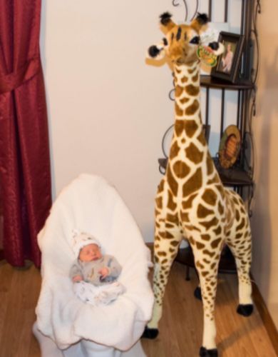 Riesige echte Giraffen-Plüschtiere, niedliche Stofftierpuppen, weiche Simulations-Giraffe-Puppe, Geburtstagsgeschenk, Kinderspielzeug, Schlafzimmer-Dekoration photo review