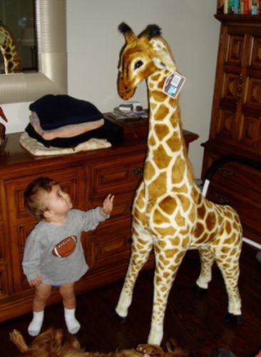 Riesige echte Giraffen-Plüschtiere, niedliche Stofftierpuppen, weiche Simulations-Giraffe-Puppe, Geburtstagsgeschenk, Kinderspielzeug, Schlafzimmer-Dekoration photo review