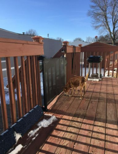 Indoor Retractable Dog Gate Mesh photo review