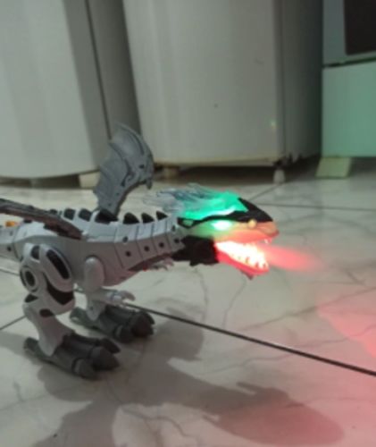 Intelligent Remote Control Dinosaur Robot Toy photo review