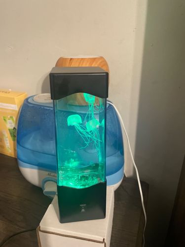 Jellyfish Aquarium Lamp photo review