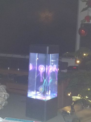 Jellyfish Aquarium Lamp photo review