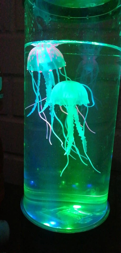 Jellyfish Aquarium photo review