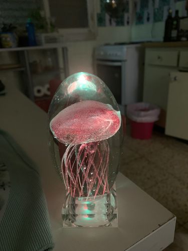 Jellyfish Light photo review